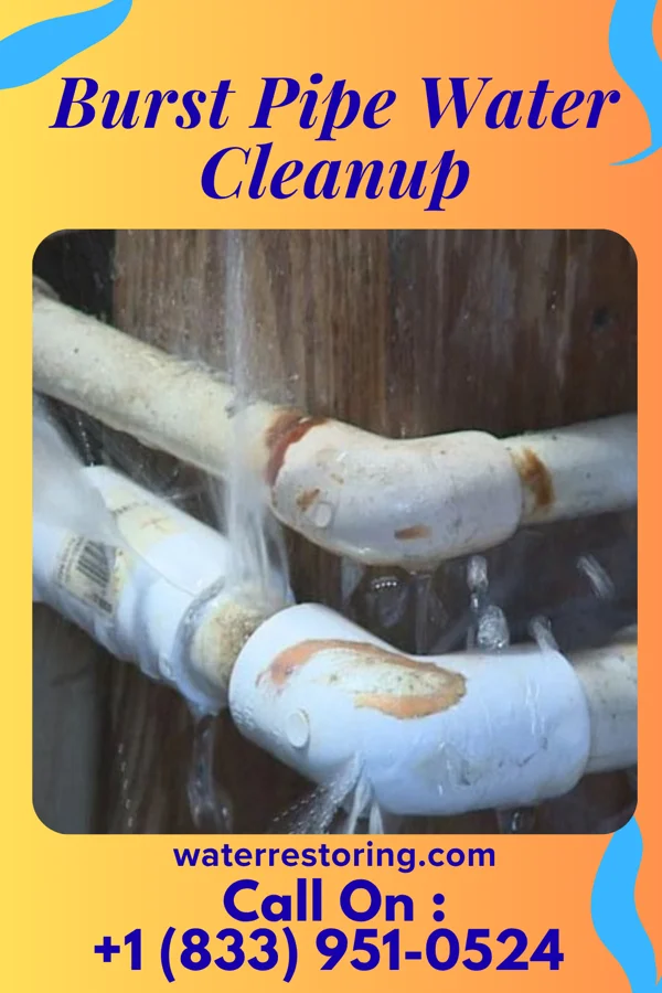 Burst Pipe Water Cleanup in Caseville, MI