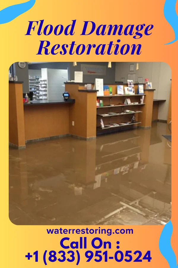 Flood Damage Restoration in Caseville, MI