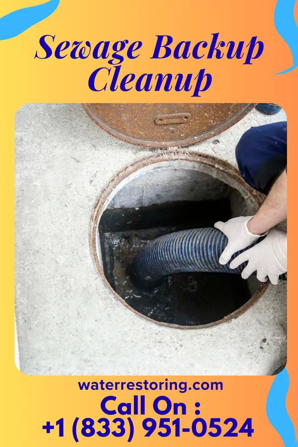 Sewage Backup Cleanup in Caseville, MI