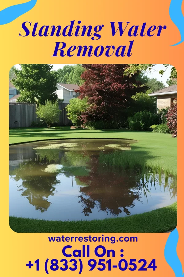 Standing Water Removal in Caseville, MI